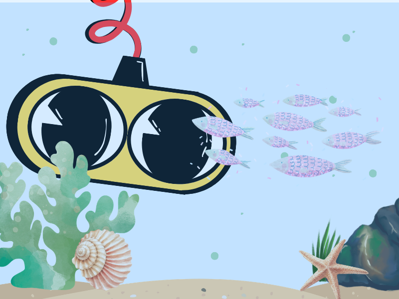 OrgScope illustration — sea, representing our mission to support GTA small businesses